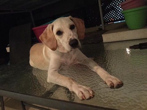 20245894_10154700451522091_3621197983257503086_n